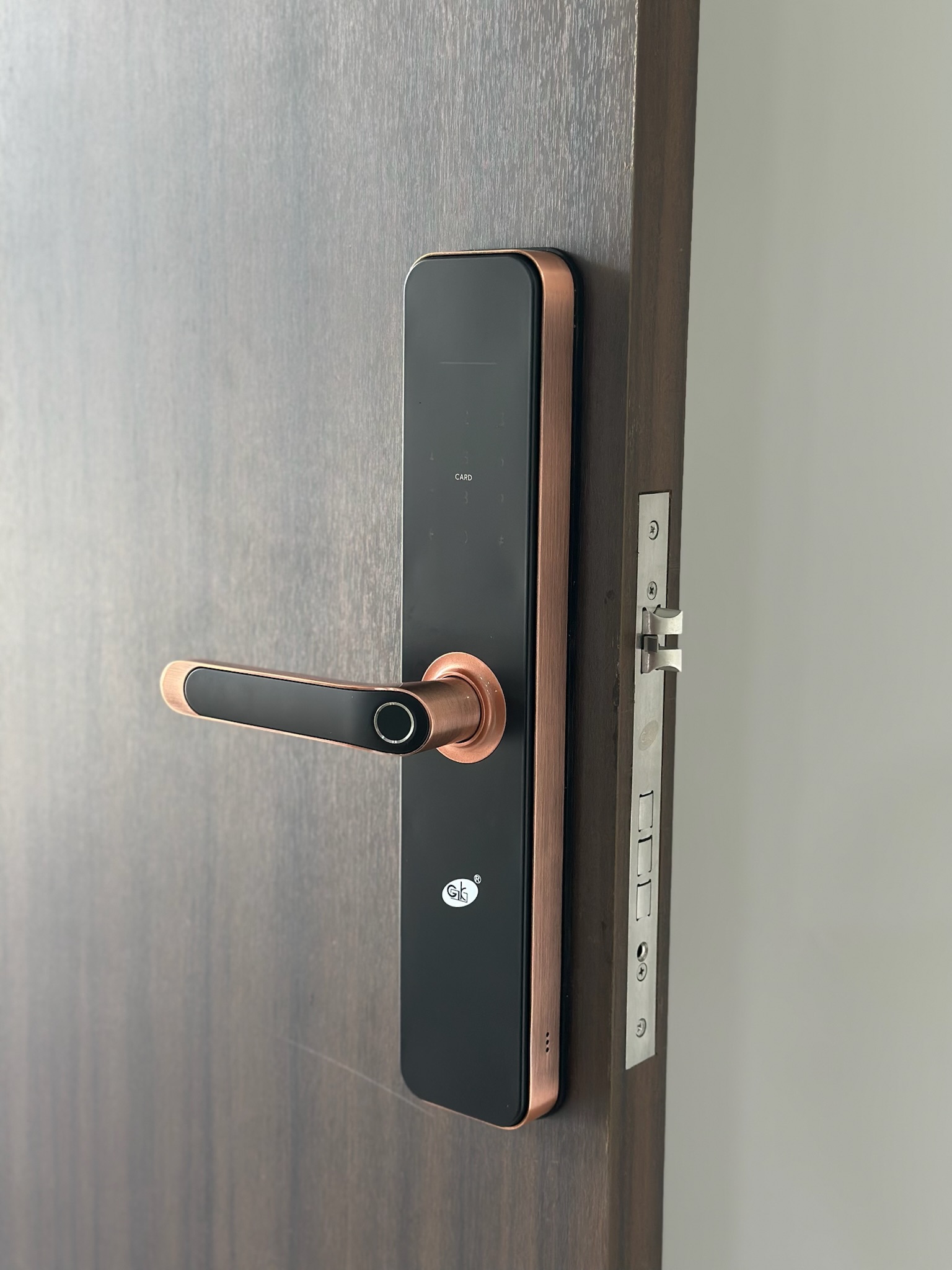 SAM -S50 Smart Grill Lock